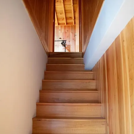 Domus Nostra 아파트