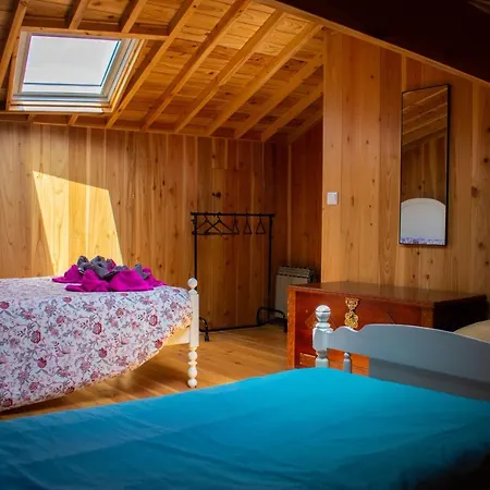 Domus Nostra * 푸나스